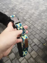 Dog-Collar Engraved Custom Personalized Puppy Dogs Printed Nylon Plaid for Medium Large
