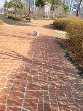 Cute Rabbit Design Dog Hoodie Winter Pet Dog Clothes For Dogs Coat Jacket Cotton Ropa