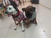Jersey a rayas para perros grandes ropa cálida para mascotas de invierno para perros pequeños y grandes, abrigo para perros Chihuahua, traje de cachorro de Retriever, ropa para mascotas