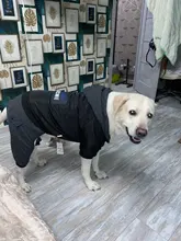 Dog-Coat Winter HOOPET for Dogs Clothing Warm Christmas Big