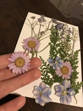 Dried Flowers Beauty-Decal Filling-Jewelry-Decoration Epoxy-Resin Dry Natural for DIY