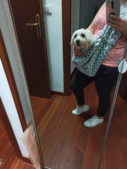 DogMEGA Hands-free Reversible Small Dog Sling Carrier photo review