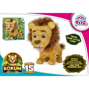 

IMC - Kokum, the first interactive Lion