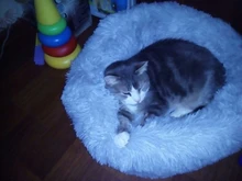 Dog-Bed Large Kennel-Sleeping-Bag Pets Cat Round Washable Plush Soft Little-Medium Long