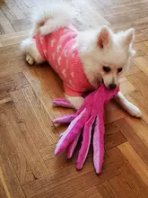 Juguete de peluche suave con 8 patas de pulpo para perros, juguete interactivo para jugar al aire libre, con sonido sonoro, juguete dental para masticar