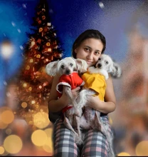 Costume Dog Shirt Dress Christmas Cat-Coat Couple for Small Cats Terrier Ropa Para Perro