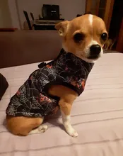 Ropa de invierno para mascotas, atuendo con chaleco cálido para perros pequeños, abrigo para perro, Chihuahua acolchado, a prueba de viento, 20