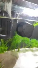 Cepillo de limpieza magnético para acuario, rasqueta limpiadora de algas para vidrio, depurador, cepillo de limpieza Aquarist