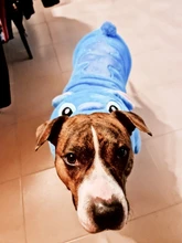 Jacket Hoodie Outfit Coat Animal-Costumes Pet Golden-Retriever Small Winter Large Medium