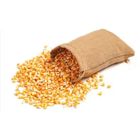 

High Quality Organic English Popcorn Dry Fruit dry food wonderful Popcorn nuts new crop snacks