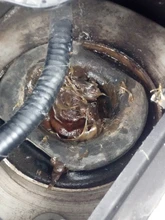 Top-Cover Latio Front-Suspension 54330ED000 Nissan Versa Tiida Dodge Dustproof C11 