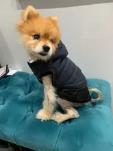 Pet-Dog-Clothes Jackets Coat Pets-Products Puppy-Cat-Clothing Pug-Outfits Small Dogs