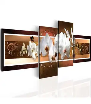 

Picture-elegant orchids in abstraction