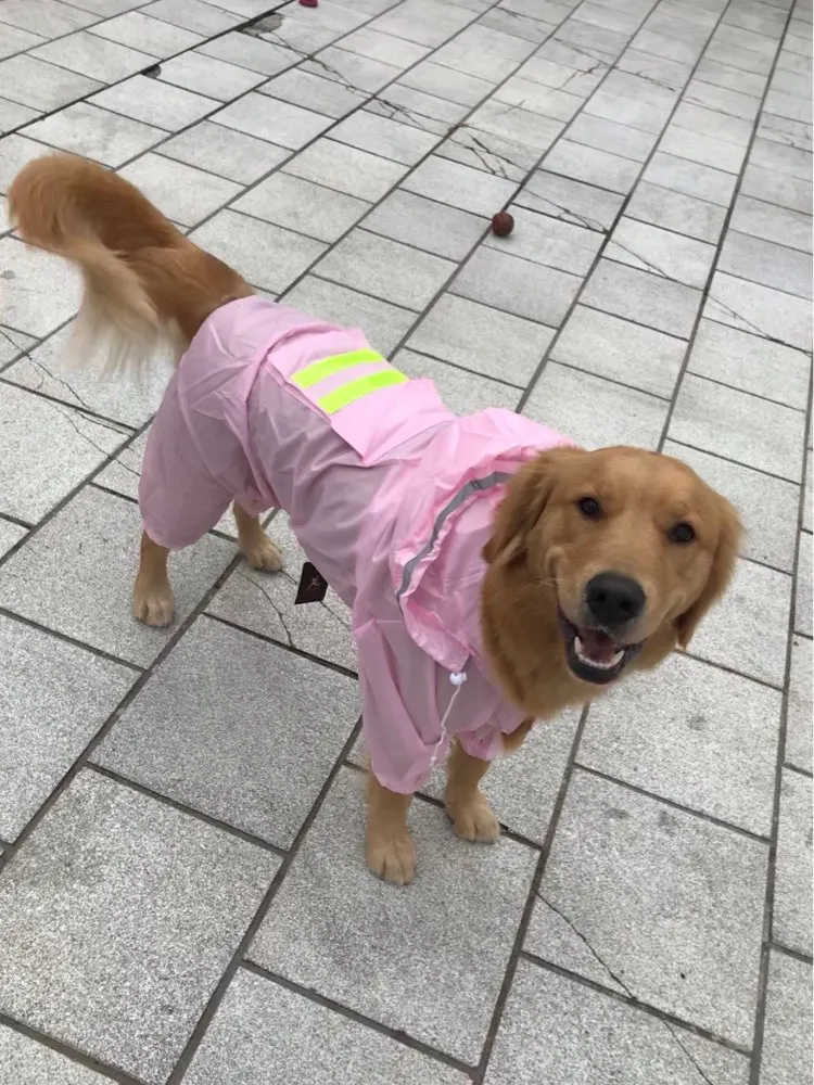 köpek yağmurluğu büyük ırk