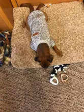 Clothing Sweater Pet-Outfit Small Dogs Classic Soft Winter For Dog Chihuahua Ropa Perro