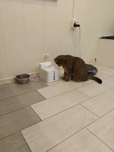 Source-Bowl-Feeder Drinker Fountain-Dispenser DOGS-FILTER Sensor Cats Automatic 3L Quiet