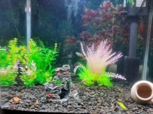 Grass-Decoration Aquarium-Decor Plant Fish-Tank Artificial-Plants Simulation Water-Weeds-Ornament