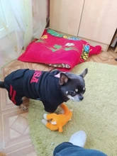 Jumpsuit Clothing Hoodies Jacket Pet-Dog-Coats Small Dogs Sport Apparel Winter Fashion