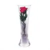 

Rose in a flask in a vacuum