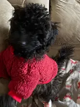 Ropa para perros de lana y Chihuahua, Ropa de invierno para mascotas pequeñas y medianas