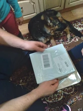 Mini cámara domo PTZ inalámbrica 3G 4G con tarjeta SIM de 5MP, 2MP, AI human, seguimiento automático, Zoom 5X, Audio bidireccional, cámara de seguridad CCTV