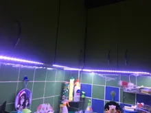 Tape-Light Ribbon Led-Strip Home-Decor White 2835 24V 12V 5m 10m 20m Natural 240/480