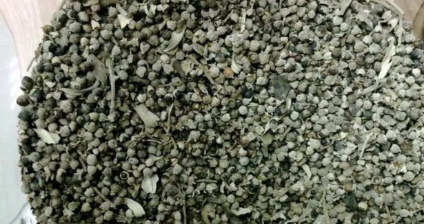 

high quality Hayit seed- Vitex agnus-castus 100 gr-400 gr free shipping