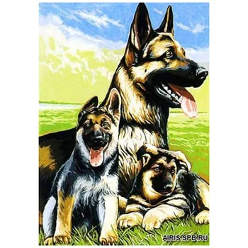 

Mrc1531-246 canvas with a pattern Margot 'овчарки' 40*50 cm