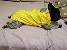 Mono impermeable para perro mascota, ropa impermeable para exteriores, mono con capucha para perros pequeños y grandes, capa impermeable, Bulldog francés