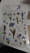 Journamm-pegatinas de palabras japonesas con trébol de margaritas naturales, 12 diseños, Material transparente para mascotas, flores, hojas, plantas