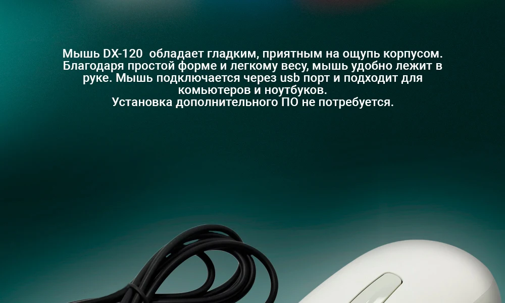 DX-120_02