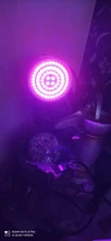 Bombilla Led para cultivo, lámpara de crecimiento hidropónica Phyto B22, E27, MR16 de espectro completo, UV de 220V, planta E14, plantones de flores Fitolamp GU10