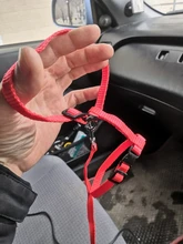 Leash-Set Harness Pet-Products Cat-Collar Adjustable Belt Dog Animals Kitten Nylon And