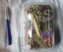 1 caja de hojas de flores prensadas reales, resina de margaritas secas, calcomanías de belleza para uñas, moldes de epoxi, embellecedores para fabricación de joyas