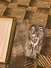 Tijera para podar raíces, Grado Profesional, 190mm, 4Cr13MoV, herramientas de bonsái de acero de aleación de TianBonsai