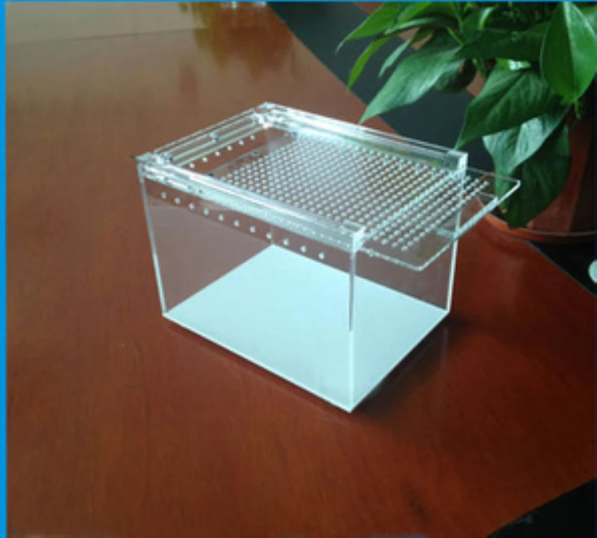 Для Улитка акрилового стекла коробка ваза мини пейзаж Сказочный Сад DIY Террариум