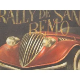

SAN REMO RALLY box