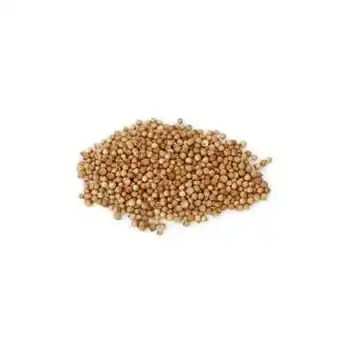 

Coriander Seed Whole