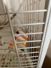 Bird-Toys Pets-Parrots-Ladders Colorful-Balls Hanging Natural-Wood 