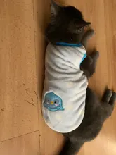 Ropa de invierno para Gato, ropa para gatos, abrigo de gatito, chaqueta, disfraces de gato de dibujos animados, ropa de lana cálida para gatos y perros, Sphynx