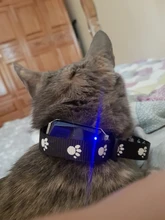 Rastreador GPS AGPS LBS Wifi en tiempo Real de luz Mini GPS Tracker para mascotas perro gatos IP67 impermeable localizador del animal doméstico rastreador de Collar
