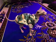 Cartoon Cat Hoodie Sweater Autumn Winter Pet Cat Clothes for Cats Katten Kedi Pullovers