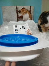 Cat Toilet Litter-Box Puppy-Cat-Litter-Mat Training-Kit Plastic 40--40--3.5cm