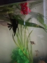 Lifelike Plastic Artificial Moving Floating Fishes Ornament Decorations for Aquarium