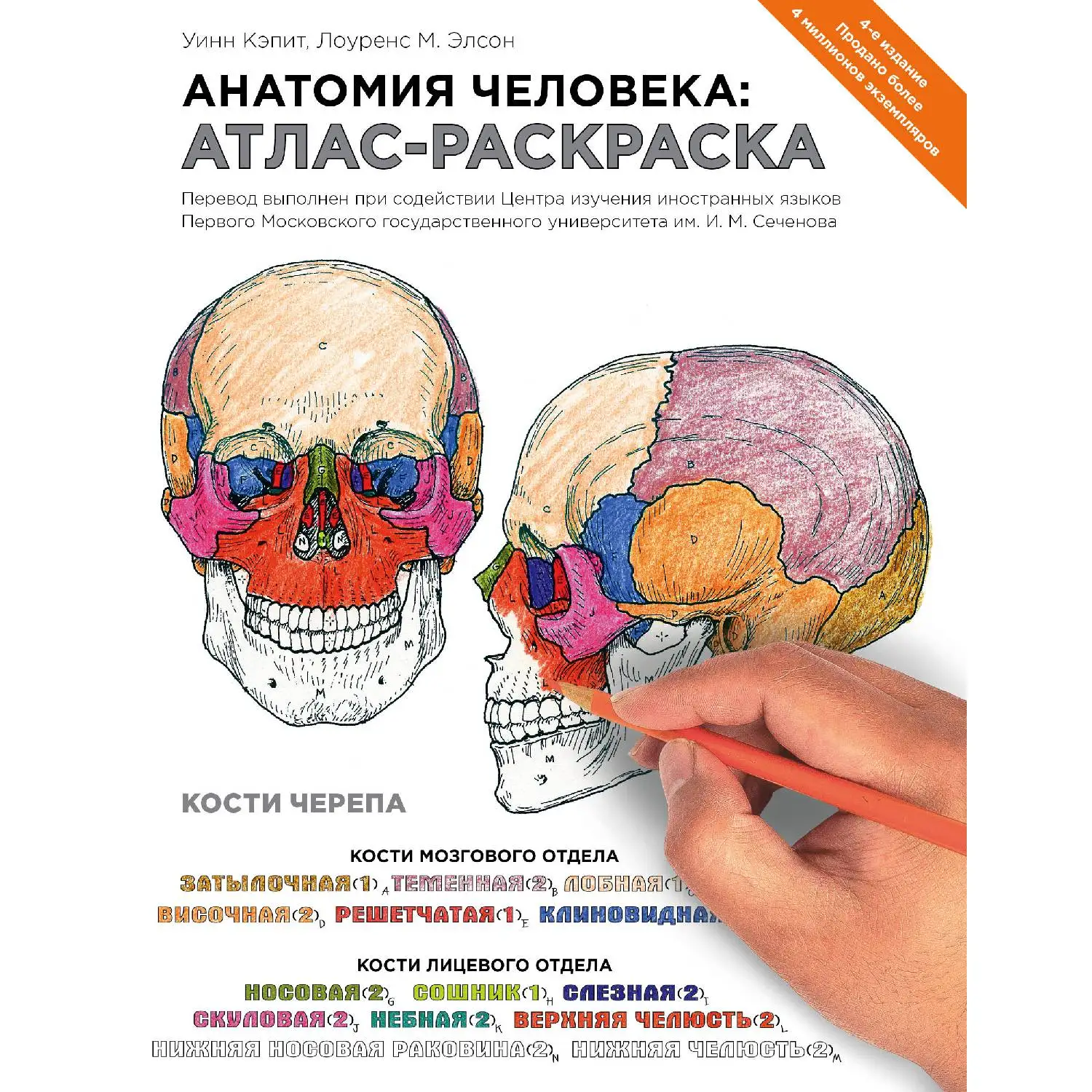 Анатомия человека: атлас-раскраска (Лоуренс М. Элсон, Уинн Кэпит, 978-5-699-71506-0, 376 стр., 12+)
