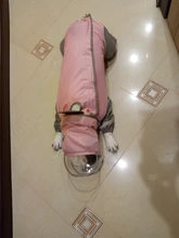 Mono impermeable para perro mascota, ropa impermeable para exteriores, mono con capucha para perros pequeños y grandes, capa impermeable, Bulldog francés