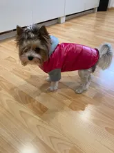 Coat Pet-Dog-Jacket Winter Puppy Hood-Size Warm with 8-18 5-Colors Thickening