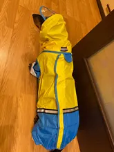 Jumpsuit Raincoat Pet-Cloak Teddy Waterproof-Jacket HOOPET Dogs Chihuahua for Small Cat