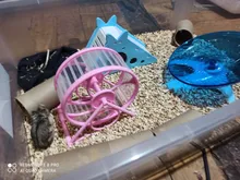 1 Uds hámster juguete ejercicio para mascotas deportivos juguetes de silencio de la jaula para mascotas juguete hámster pequeño Animal correr rata corriendo