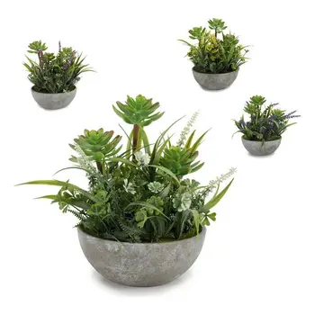 

Planter Flowers